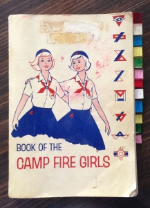 Camp Fire manual